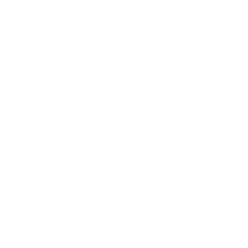 Manager Icon