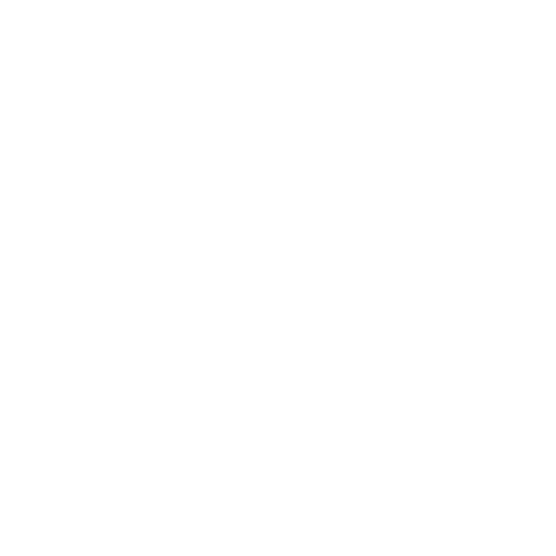 Trip Analysis